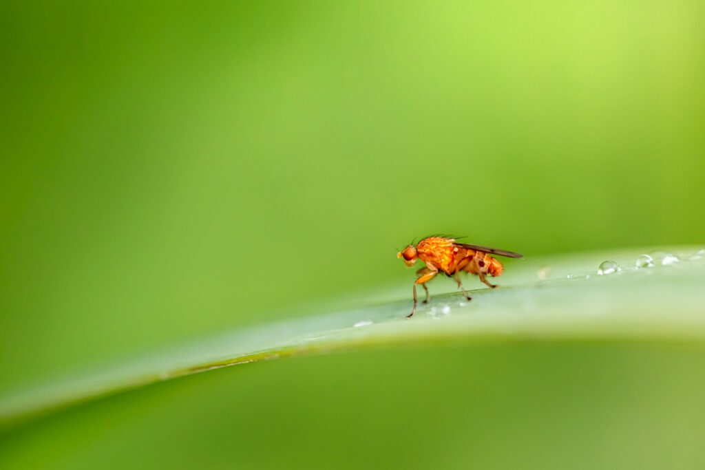 Erik karits x9wvzgcvs54 unsplash